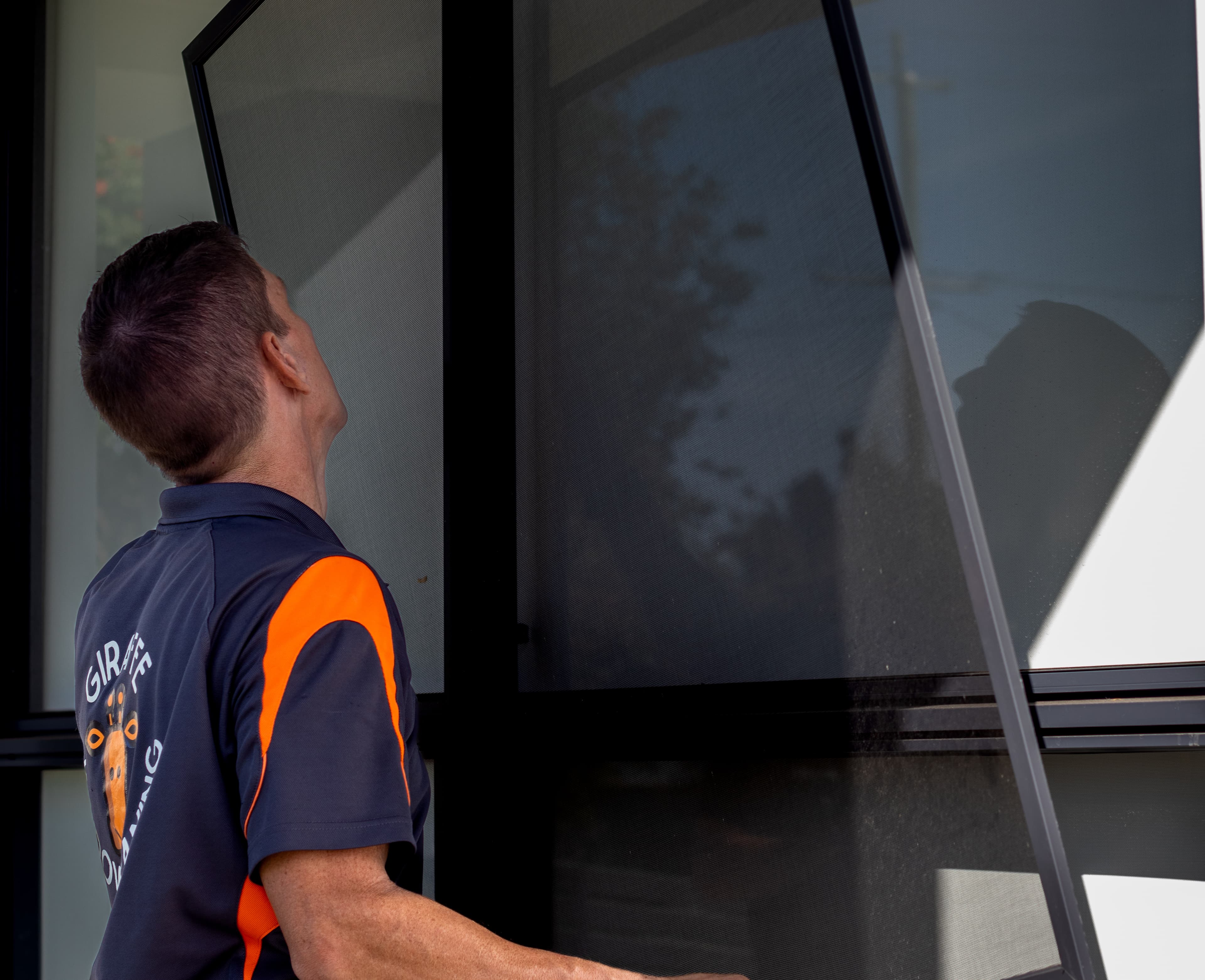 Clean fly screen after professional service